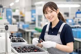 309468481